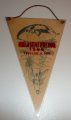 1966 Parachutist Championships/Pennants