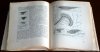 Zaklady meteorologie a klimatologie/Books/CZ
